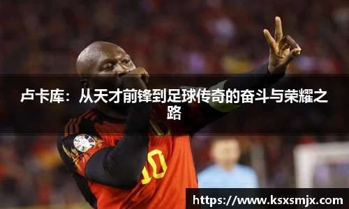 卢卡库：从天才前锋到足球传奇的奋斗与荣耀之路